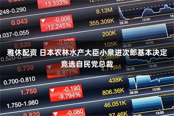 雅休配资 日本农林水产大臣小泉进次郎基本决定竞选自民党总裁