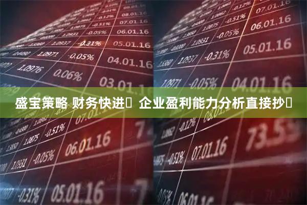 盛宝策略 财务快进❗企业盈利能力分析直接抄✍