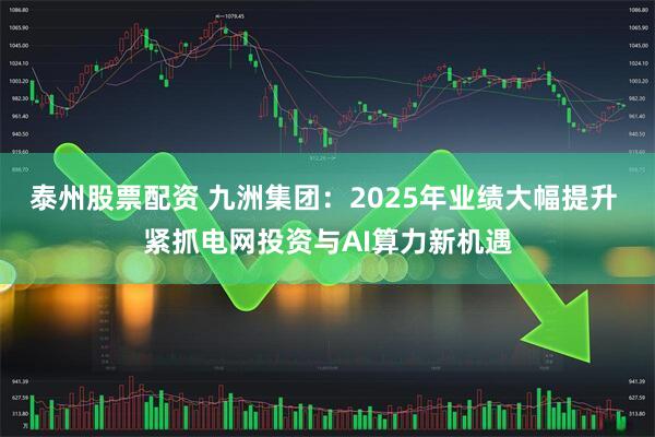泰州股票配资 九洲集团：2025年业绩大幅提升 紧抓电网投资与AI算力新机遇