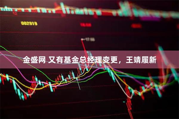 金盛网 又有基金总经理变更，王靖履新