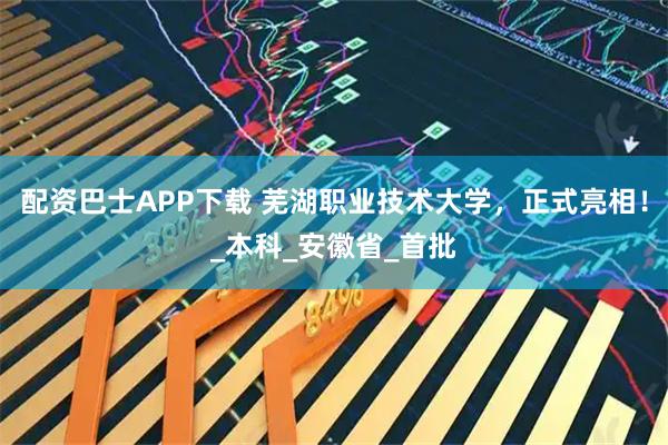 配资巴士APP下载 芜湖职业技术大学，正式亮相！_本科_安徽省_首批
