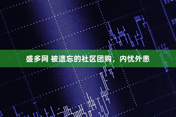 盛多网 被遗忘的社区团购，内忧外患
